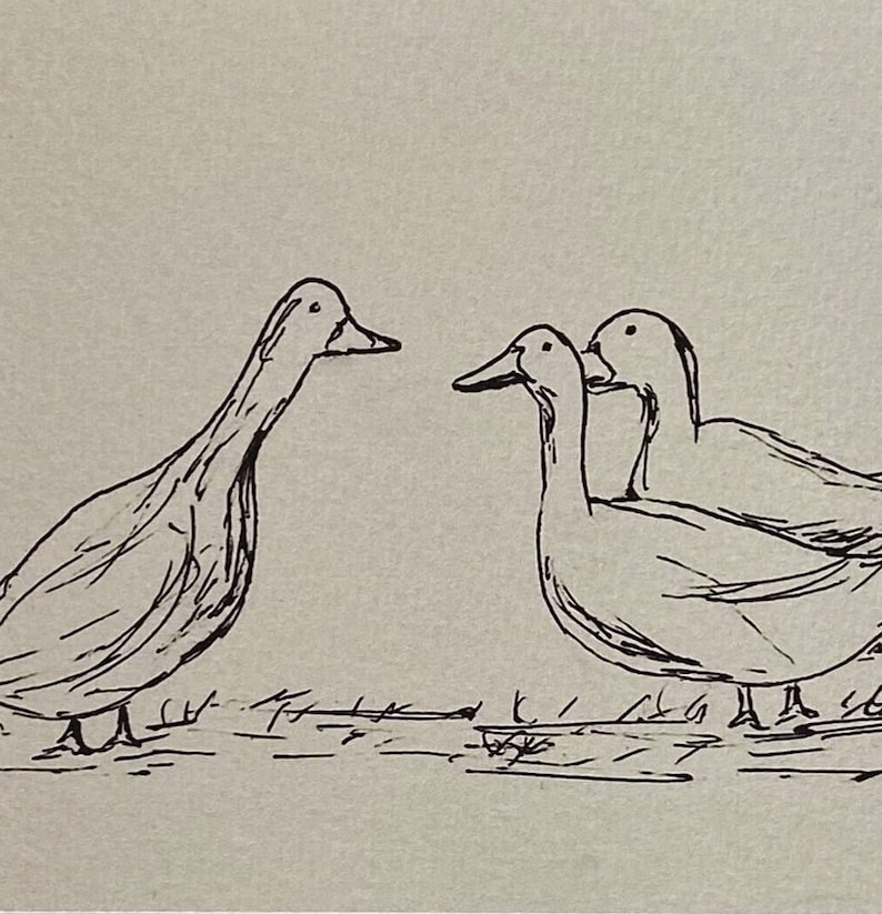 THREES COMPANY Unframed Art Print Duck Drawing Ink Sketch Print Minimalist Duck Drawing French Country Art Duck Art Duck Sketch image 9