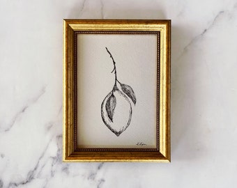 LEMON DROP Art Print - Unframed Fruit Ink Sketch