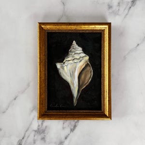 May include: A framed painting of a white seashell on a black background. The shell is painted in a realistic style with details of the texture and colour of the shell.
