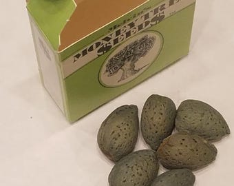 Melvin's MONEY TREE SEEDS - Funny Christmas White Elephant Gag Gift
