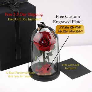 Beauty and the Beast Rose With Personalized Gold Engraved Plate ...