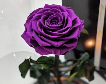 Forever Rose In Glass Etsy
