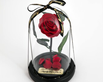 Beauty and The Beast Rose with Personalized Gold Engraved Plate, Preserved Real Rose that lasts for years in Glass Dome Display