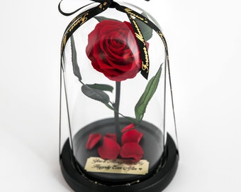 Personalized Rose Gift, Beauty and The Beast Rose, Real Preserved Rose in Glass Dome with metal Plaque