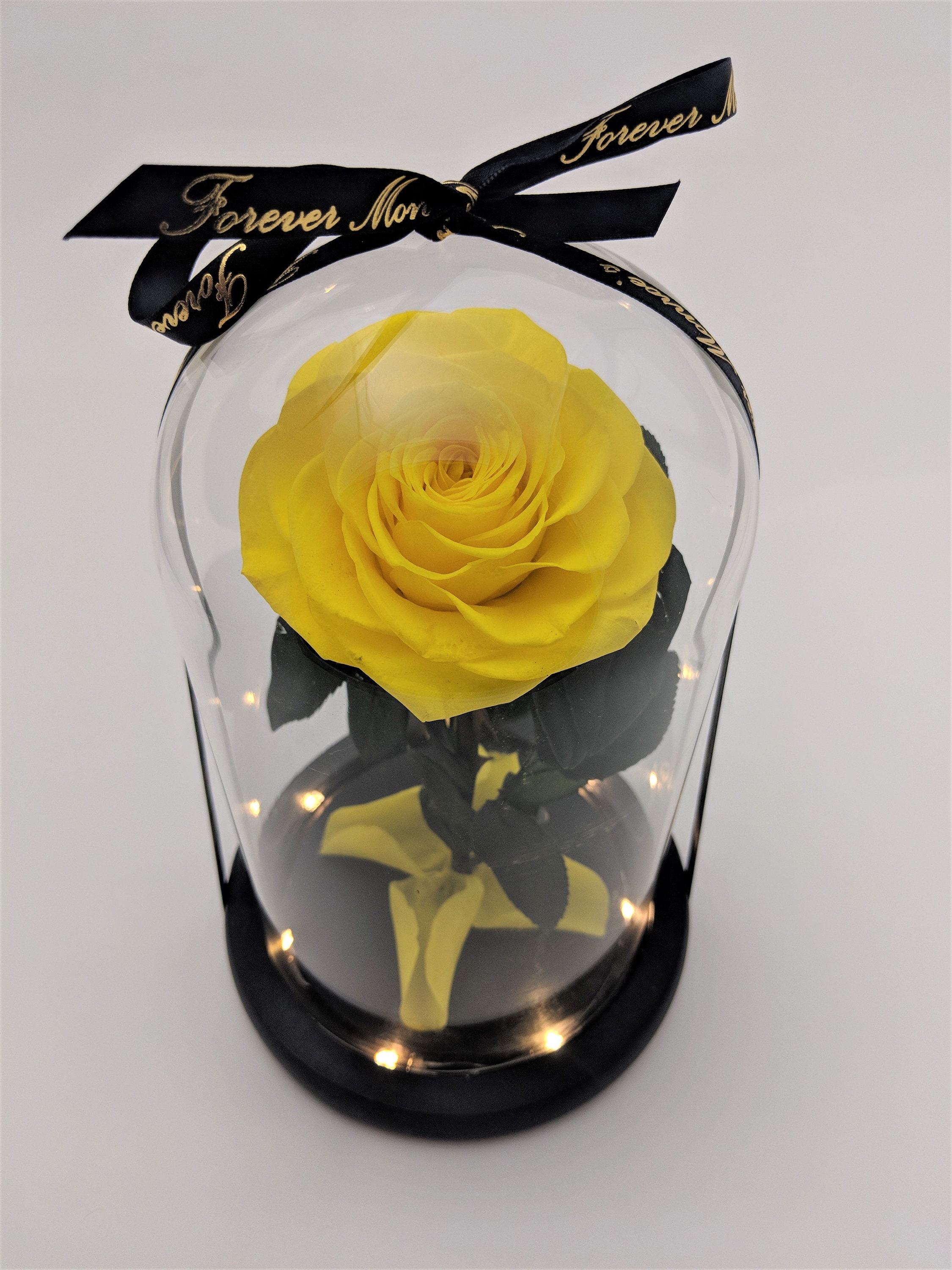 Yellow Rose in Glass Dome With Light Beauty and the Beast Etsy
