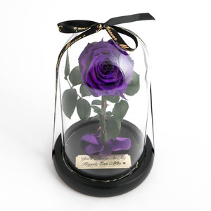 Purple Rose in Glass Dome, Forever Monroe&#39;s Purple Rose, Beauty and The Beast Rose, Long lasting Rose, Memorial Engagement Birthday Gift