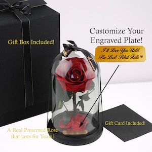 Personalized Beauty and The Beast Enchanted Red Rose with Metal Engraving | Custom Forever Everlasting Rose in Glass Dome