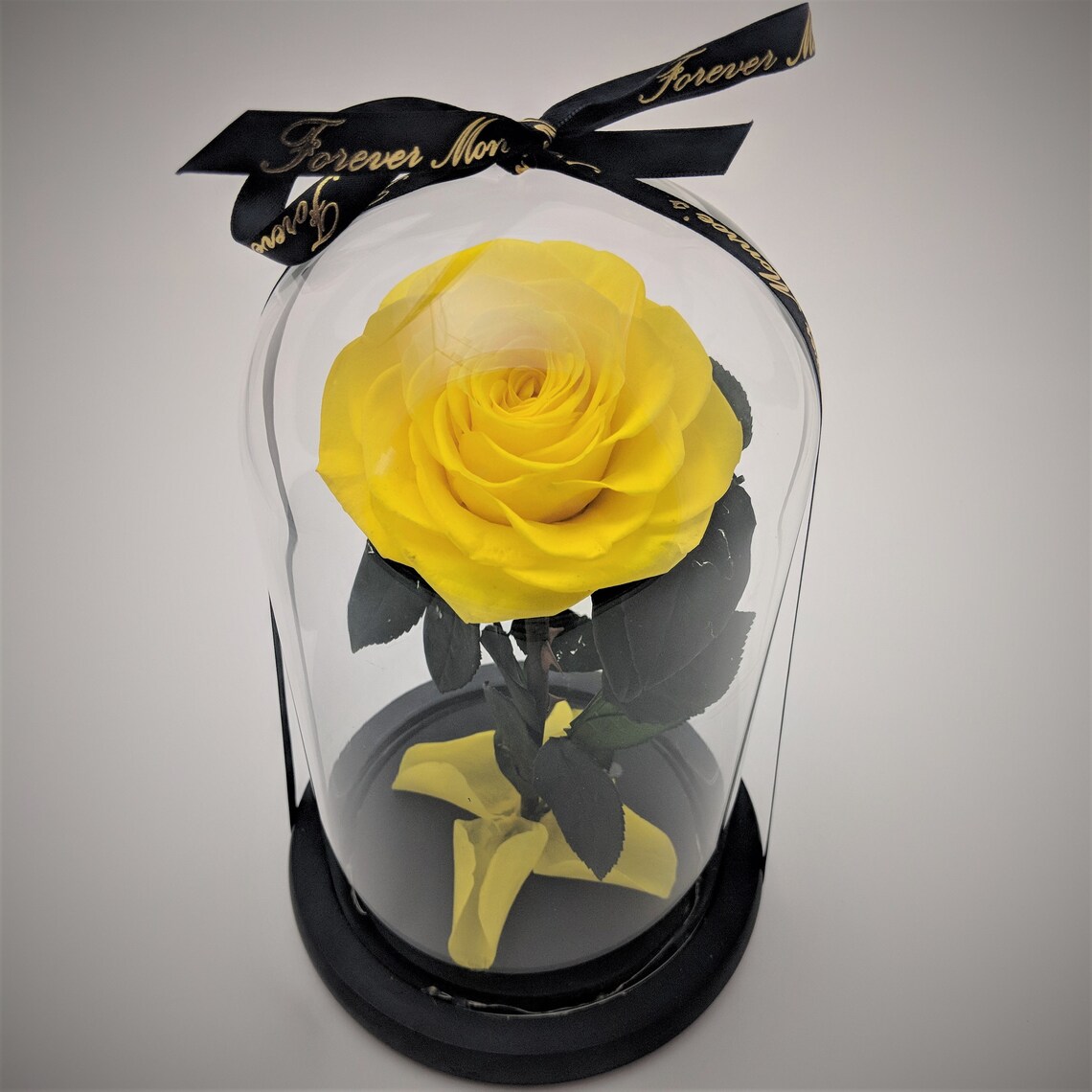 Yellow Rose in Glass Dome With Light Beauty and the Beast Etsy