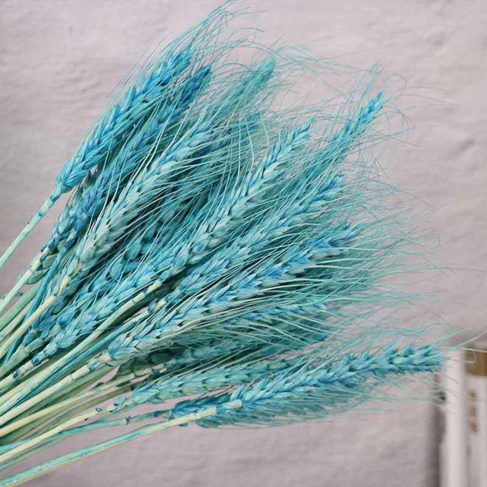 Dried Wheat Natural Wheat Stalks Bundle for DIY Home Kitchen Etsy