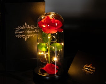 Beauty And The Beast Rose Etsy