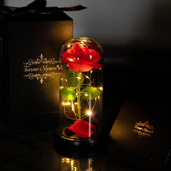 Custom Beauty And The Beast Rose In Glass Dome With Lights Etsy
