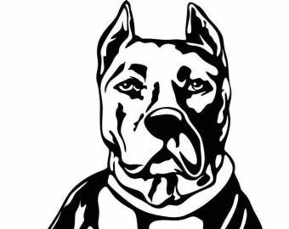 Free Free American Bully Svg 726 SVG PNG EPS DXF File