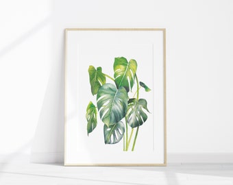 Watercolour Art Print A5 . A4 : Monstera 2 / Poster / Wall Art / Green Plant