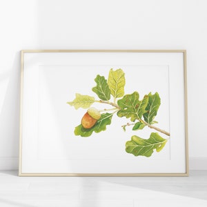 以下が含まれることがあります： 緑の葉と1つのドングリが付いたオークの枝の水彩画。ドングリは茶色と黄色で、葉に隠れています。