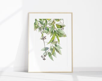 Watercolour Art Print A4 A3 - Australian Native Botanical : Eucalyptus Gum