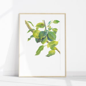 以下が含まれることがあります： 緑の葉と小さな赤い虫がついた木の枝の水彩画です。