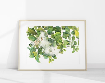 Watercolour Art Print A4 A3 - Australian Native Botanical : Lily Pilly Flower