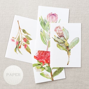 Australian native watercolour greeting cards | Protea Waratah Red Flowering Gum Eucalyptus | A6 card art print invitation