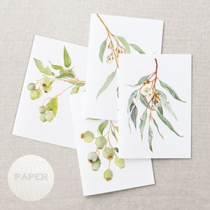 Australian native watercolour greeting cards | Eucalyptus Flowering Gum | A6 card art print invitation