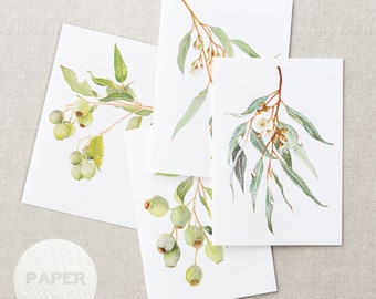 Australian native watercolour greeting cards | Eucalyptus Flowering Gum | A6 card art print invitation