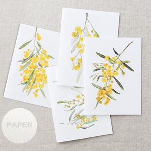 Australian native watercolour greeting cards | Wattle | A6 card art print invitation