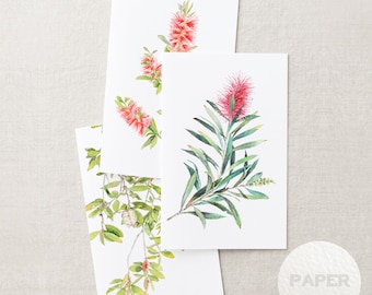 Australian native watercolour greeting cards | Bottlebrush | A6 card art print invitation