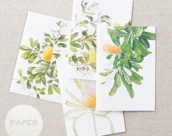 Australian native watercolour greeting cards | Banksia | A6 card art print invitation