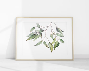 Watercolour Art Print A5 A4 A3 - Australian Native Botanical : Eucalyptus Gum Tree Green