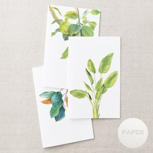 Cartes de vœux à l’aquarelle botanique verte | Bird’s Paradise Apple Magnolia | Invitation à imprimer une carte A6
