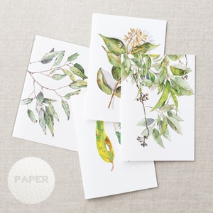 Australian native watercolour greeting cards | Eucalyptus Gum Tree | A6 card art print invitation