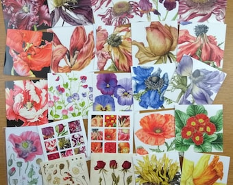 Ten Mix and Match Botanical Greeting Cards