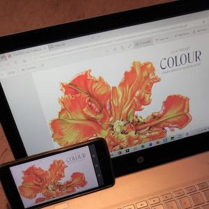 PDF BOOK Colour - observations in botanical art (NO colour mixing kit)