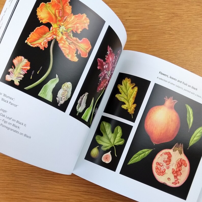 BOOK Botanical Artistry Signed Copy. Etsy