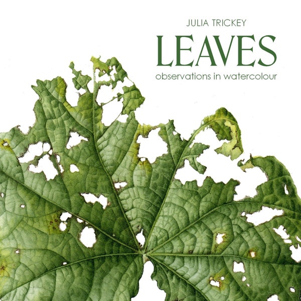 BOOK Leaves - observations in watercolour