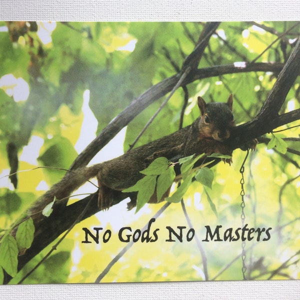 No Gods No Masters postcard (anarchist squirrel photo, atheist Easter card with anarchist/labor slogan)