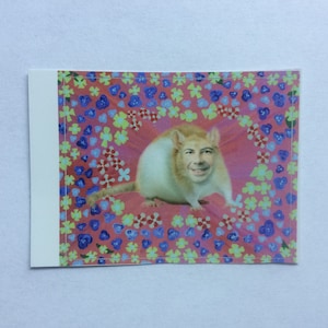Pete the Rat vinyl decal/sticker (small)