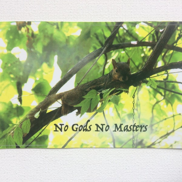 No Gods No Masters vinyl bumper sticker / decal (anarchist squirrel photo, atheist Easter decal with anarchist/labor slogan)
