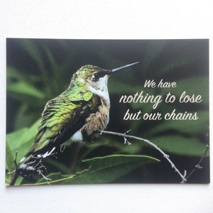 Nous n'avons rien à perdre que nos chaînes - Carte postale marxiste sur papier recyclé avec photo de colibri (citation Manifeste communiste de Karl Marx)
