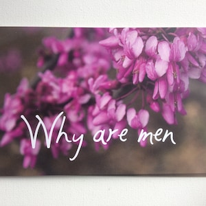 Por que os homens são cartão postal floral, cartão postal antipatriarcado, presentes feministas engraçados