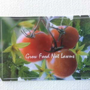 May include: Close-up of red ripe tomatoes growing on a vine with green leaves and yellow flowers. The text "Grow Food Not Lawns" is written on the image.