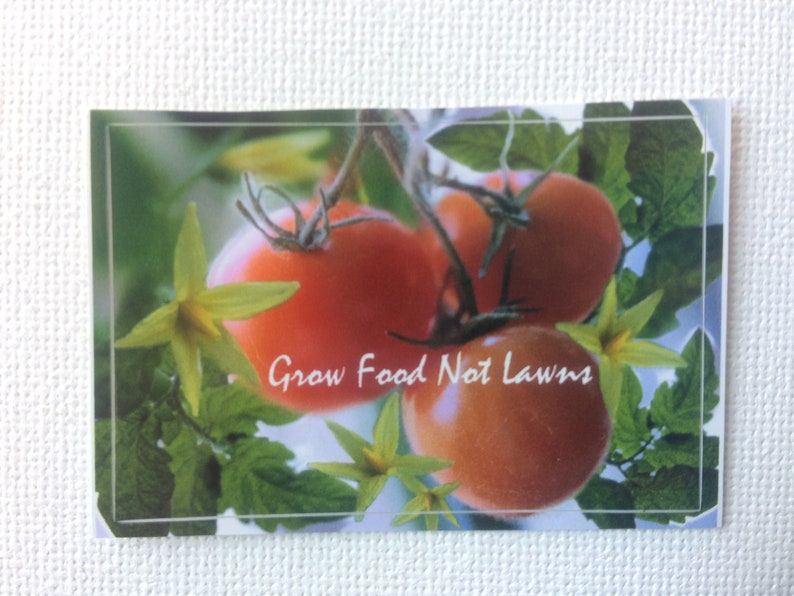 May include: Close-up of red ripe tomatoes growing on a vine with green leaves and yellow flowers. The text "Grow Food Not Lawns" is written on the image.