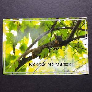 No Gods No Masters vinyl bumper sticker / decal (anarchist squirrel photo, atheist Easter decal with anarchist/labor slogan)