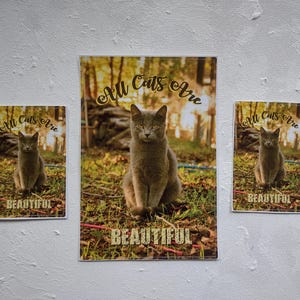 All Cats Are Beautiful ACAB-Vinyl-Aufkleber, erhältlich in zwei Größen, ACAB-Katzenaufkleber für Katzendamen, Katzenmenschen, linke Geschenk