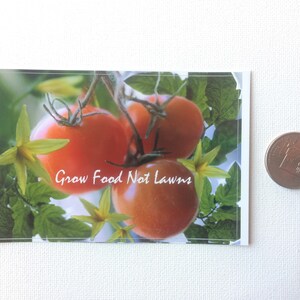 May include: Close-up of three red ripe tomatoes growing on a vine with green leaves and yellow flowers. The text "Grow Food Not Lawns" is written in white on the image.
