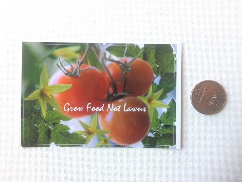 May include: Close-up of three red ripe tomatoes growing on a vine with green leaves and yellow flowers. The text "Grow Food Not Lawns" is written in white on the image.