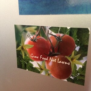 May include: Close-up of red ripe tomatoes growing on a vine with green leaves. The text "Grow Food Not Lawns" is written in white on the image.