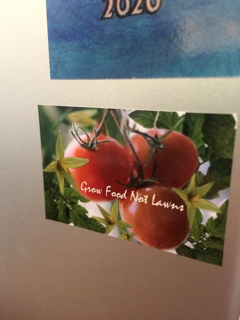May include: Close-up of red ripe tomatoes growing on a vine with green leaves. The text "Grow Food Not Lawns" is written in white on the image.