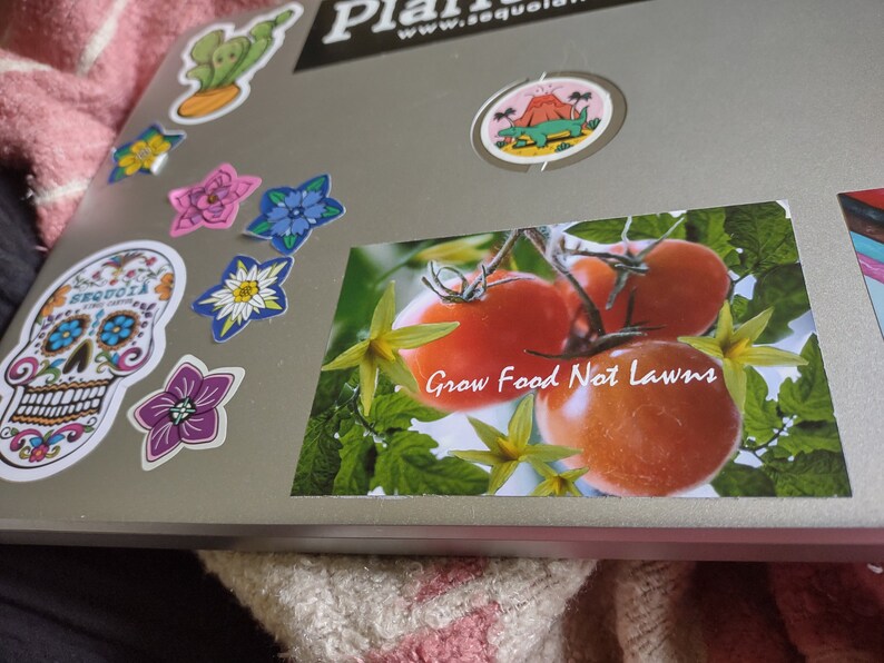 May include: A sticker with a close-up of red tomatoes on a vine with green leaves and the text "Grow Food Not Lawns".