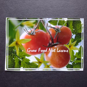 May include: A close-up of three red ripe tomatoes growing on a vine with green leaves and yellow flowers. The text "Grow Food Not Lawns" is written in white on the image.