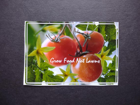 Grow food not lawns vinyl bumper sticker / decal (two sizes)